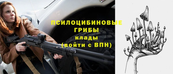 ПСИЛОЦИБИНОВЫЕ ГРИБЫ Киреевск