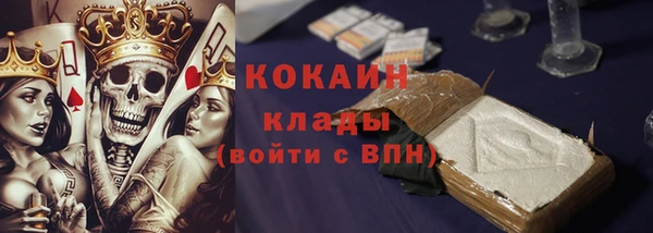 трава Корсаков