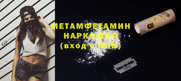 ПСИЛОЦИБИНОВЫЕ ГРИБЫ Губаха