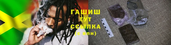 трава Корсаков