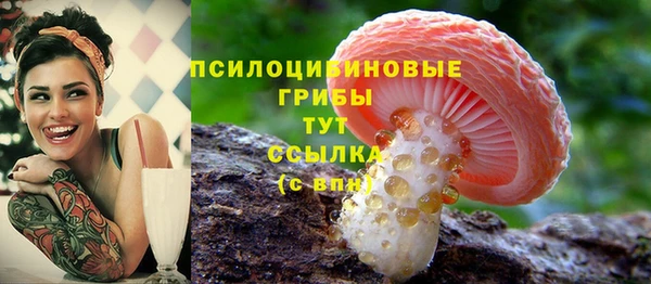 кокаин премиум Козельск