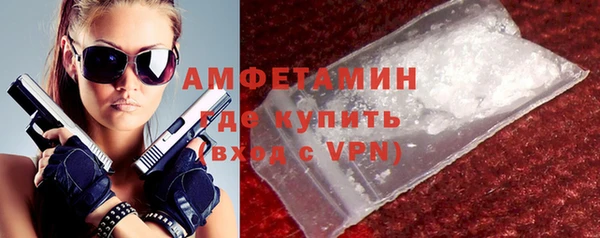 крисы Коряжма